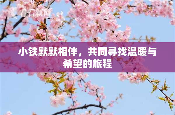 小铁默默相伴，共同寻找温暖与希望的旅程