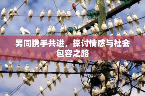 男同携手共进，探讨情感与社会包容之路