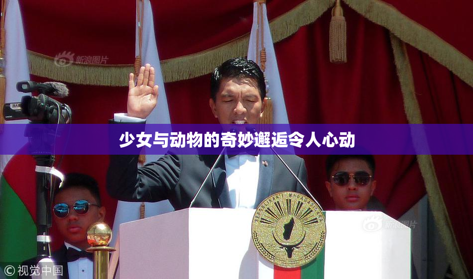 少女与动物的奇妙邂逅令人心动