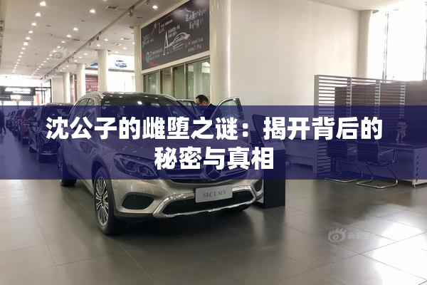 沈公子的雌堕之谜：揭开背后的秘密与真相