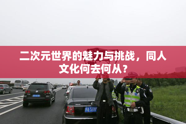 二次元世界的魅力与挑战，同人文化何去何从？