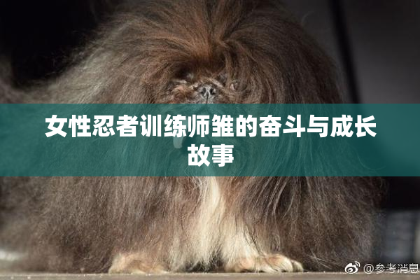 女性忍者训练师雏的奋斗与成长故事