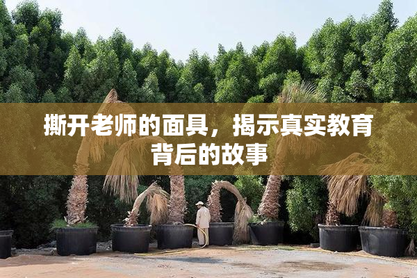撕开老师的面具，揭示真实教育背后的故事