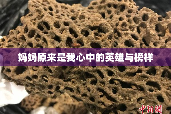 妈妈原来是我心中的英雄与榜样