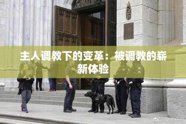 主人调教下的变革：被调教的崭新体验