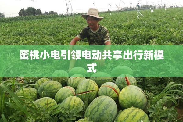 蜜桃小电引领电动共享出行新模式