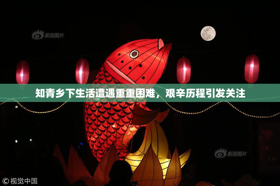知青乡下生活遭遇重重困难，艰辛历程引发关注