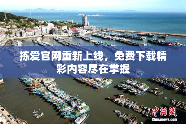 拣爱官网重新上线，免费下载精彩内容尽在掌握