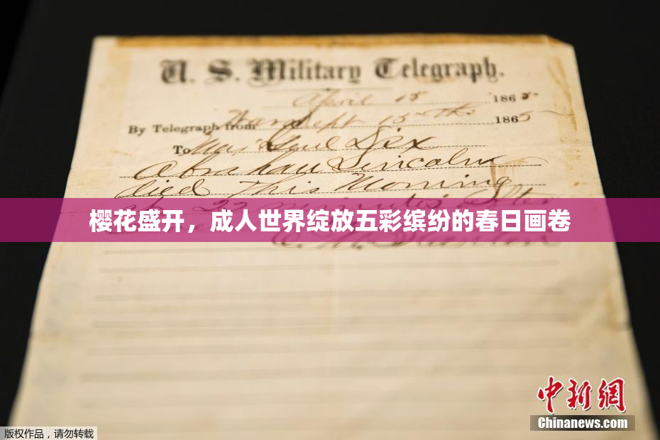 樱花盛开，成人世界绽放五彩缤纷的春日画卷