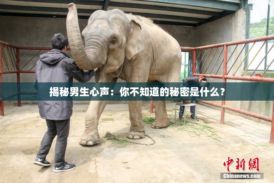 揭秘男生心声：你不知道的秘密是什么？