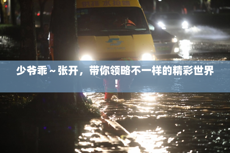 少爷乖～张开，带你领略不一样的精彩世界！