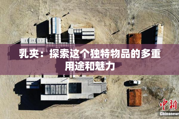 乳夹：探索这个独特物品的多重用途和魅力