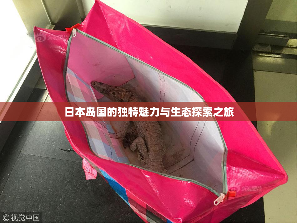 日本岛国的独特魅力与生态探索之旅