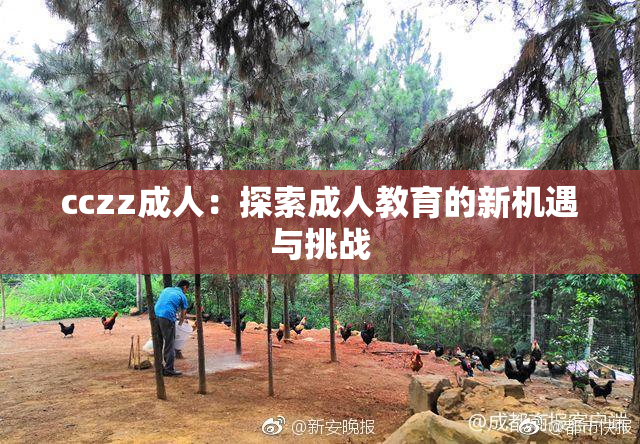 cczz成人：探索成人教育的新机遇与挑战