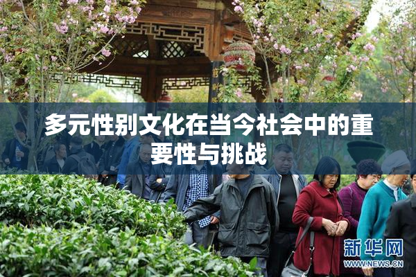 多元性别文化在当今社会中的重要性与挑战