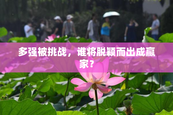多强被挑战，谁将脱颖而出成赢家？