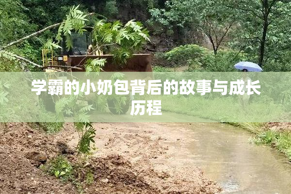 学霸的小奶包背后的故事与成长历程