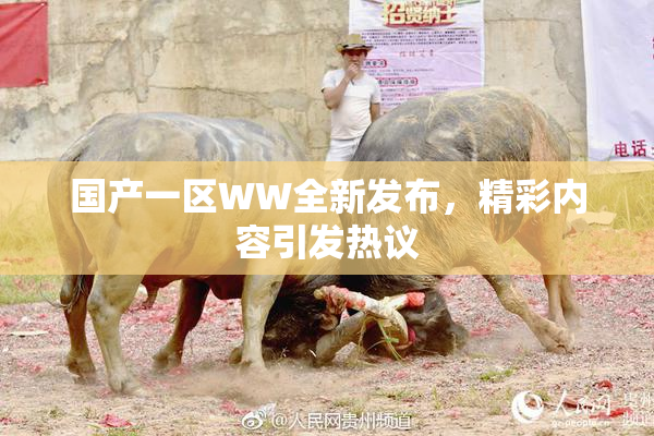 国产一区WW全新发布，精彩内容引发热议