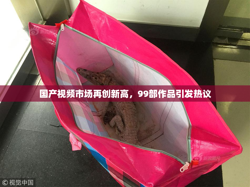 国产视频市场再创新高，99部作品引发热议