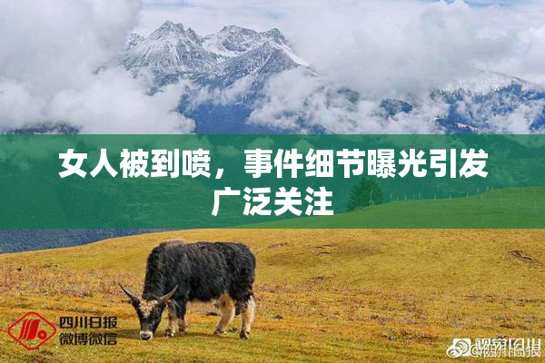 女人被到喷，事件细节曝光引发广泛关注