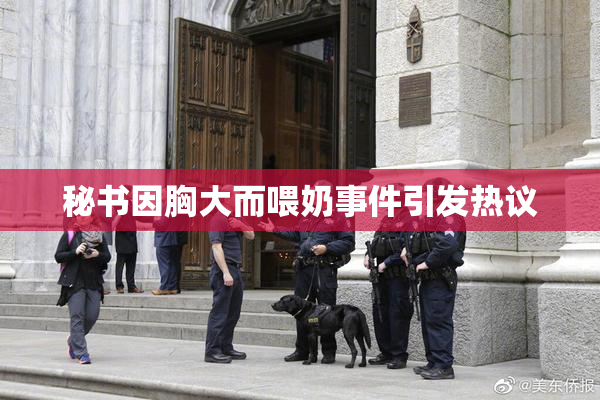 秘书因胸大而喂奶事件引发热议