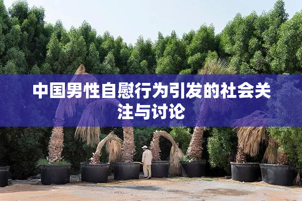 中国男性自慰行为引发的社会关注与讨论