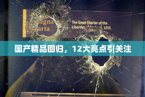国产精品回归，12大亮点引关注