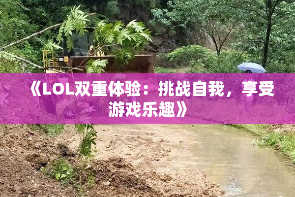《LOL双重体验：挑战自我，享受游戏乐趣》