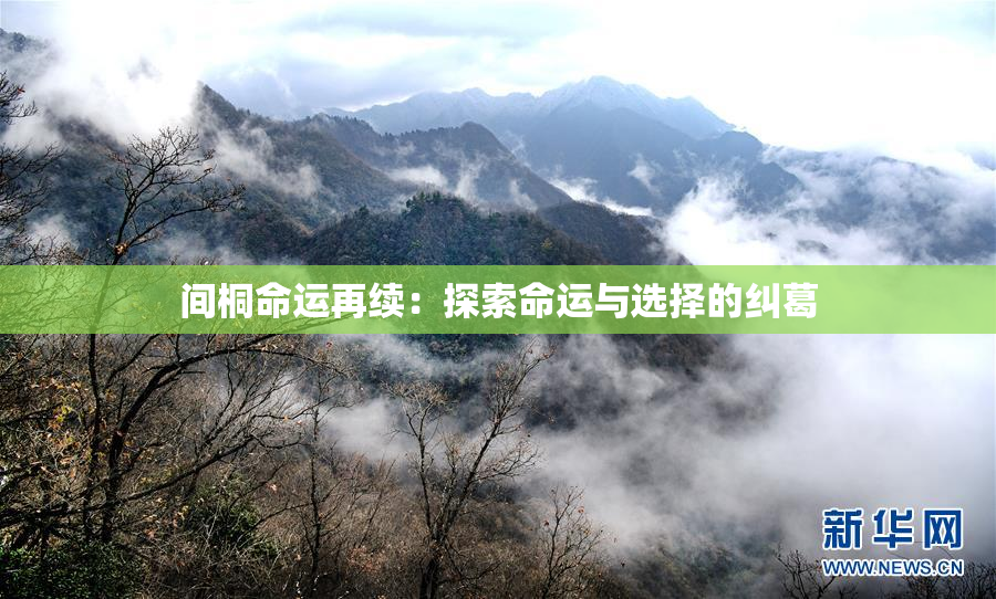 间桐命运再续：探索命运与选择的纠葛