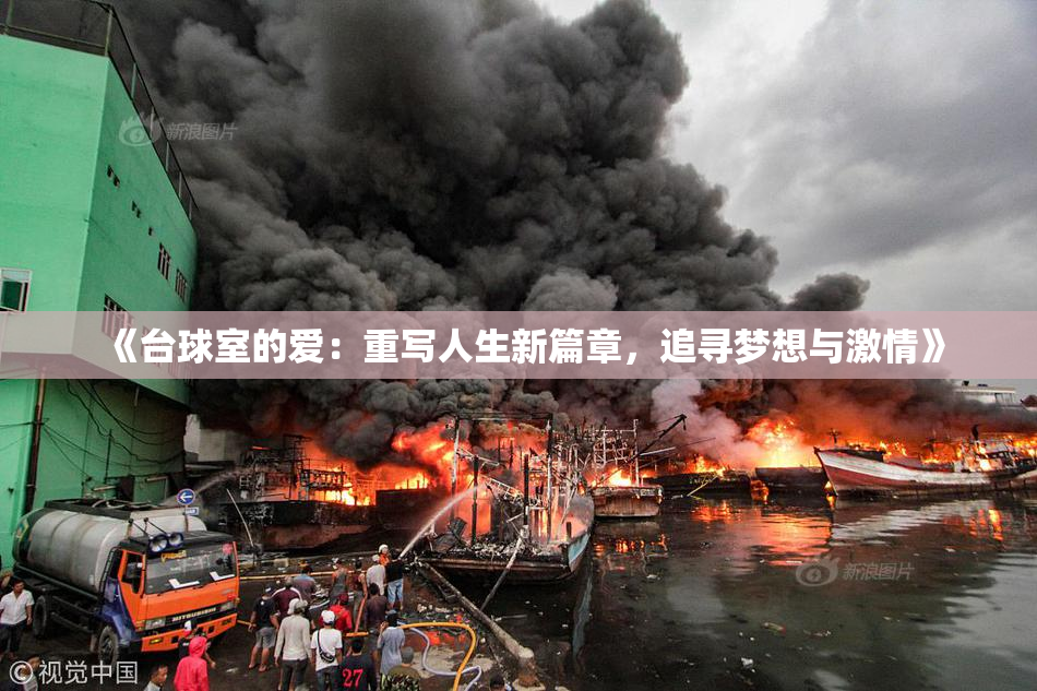 《台球室的爱：重写人生新篇章，追寻梦想与激情》