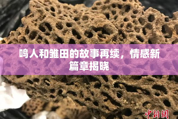 鸣人和雏田的故事再续，情感新篇章揭晓