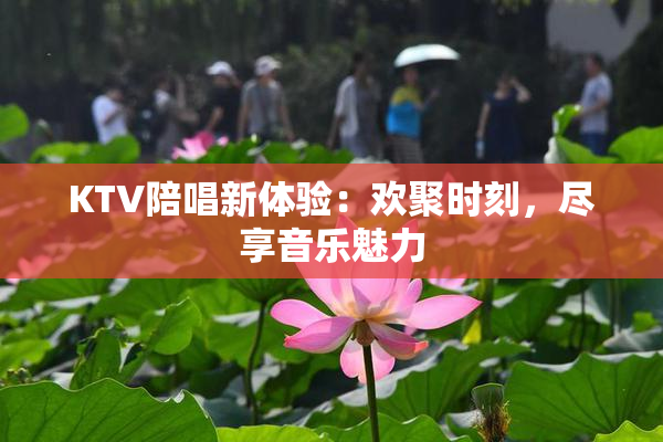 KTV陪唱新体验：欢聚时刻，尽享音乐魅力