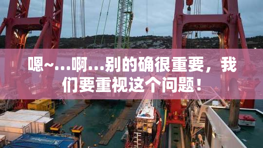嗯~…啊…别的确很重要，我们要重视这个问题！