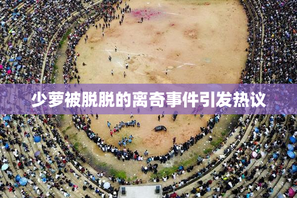 少萝被脱脱的离奇事件引发热议