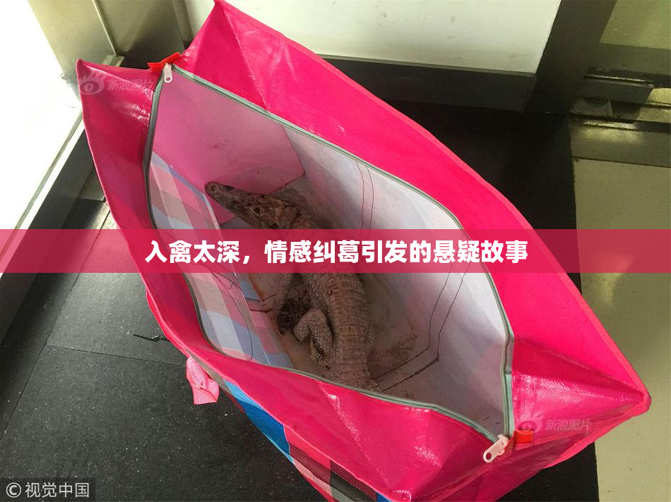 入禽太深，情感纠葛引发的悬疑故事