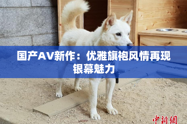 国产AV新作：优雅旗袍风情再现银幕魅力
