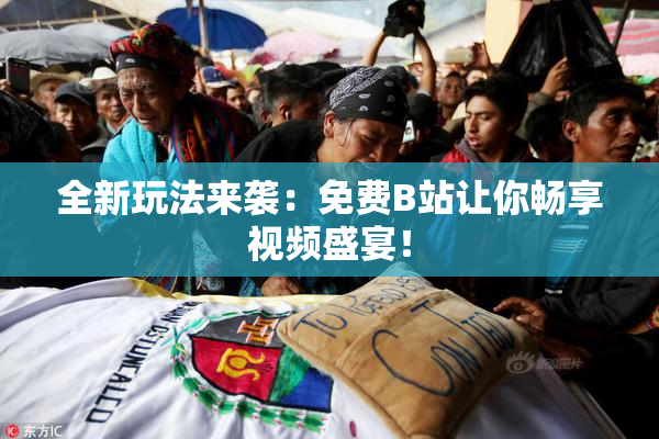 全新玩法来袭：免费B站让你畅享视频盛宴！