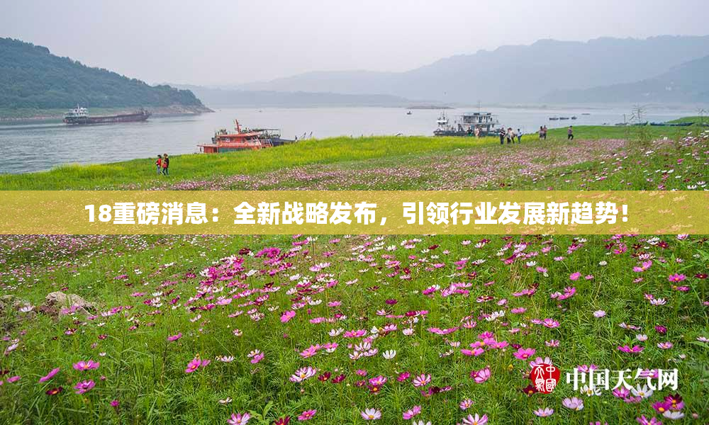 18重磅消息：全新战略发布，引领行业发展新趋势！