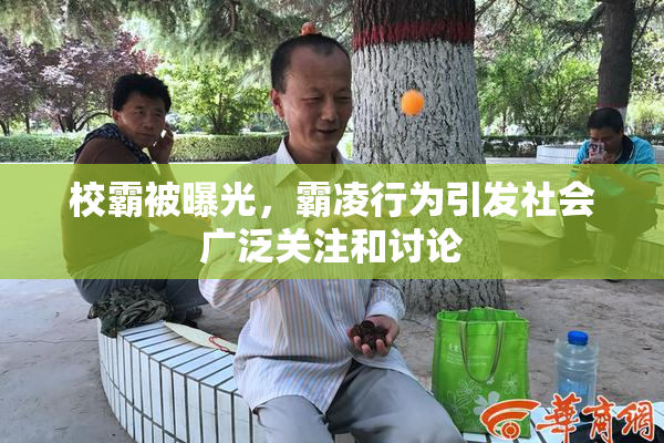 校霸被曝光，霸凌行为引发社会广泛关注和讨论