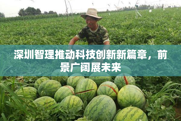 深圳智理推动科技创新新篇章，前景广阔展未来