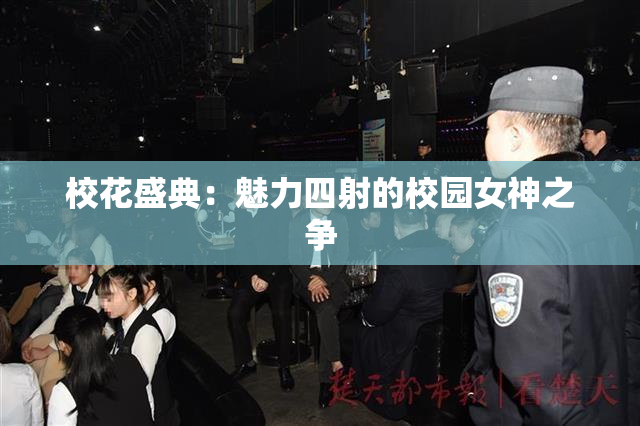 校花盛典：魅力四射的校园女神之争