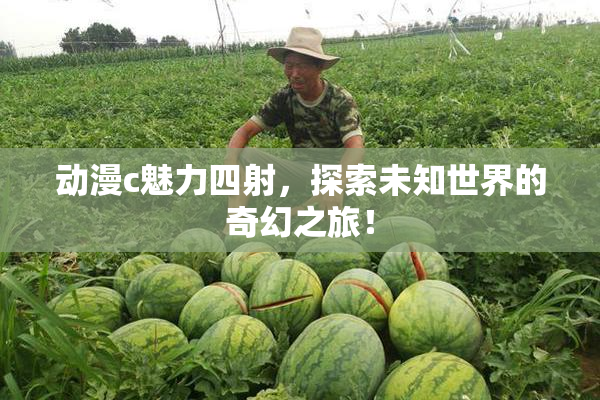 动漫c魅力四射，探索未知世界的奇幻之旅！