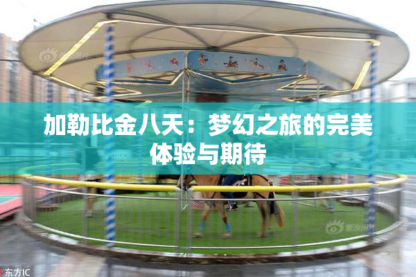 加勒比金八天：梦幻之旅的完美体验与期待