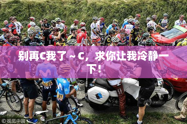 别再C我了～C，求你让我冷静一下！