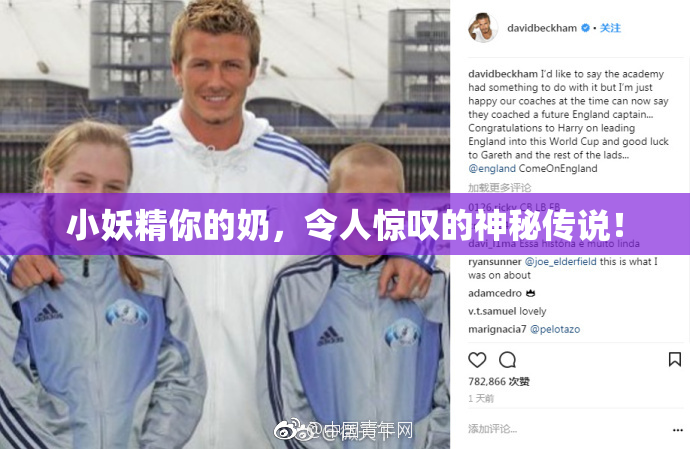 小妖精你的奶，令人惊叹的神秘传说！