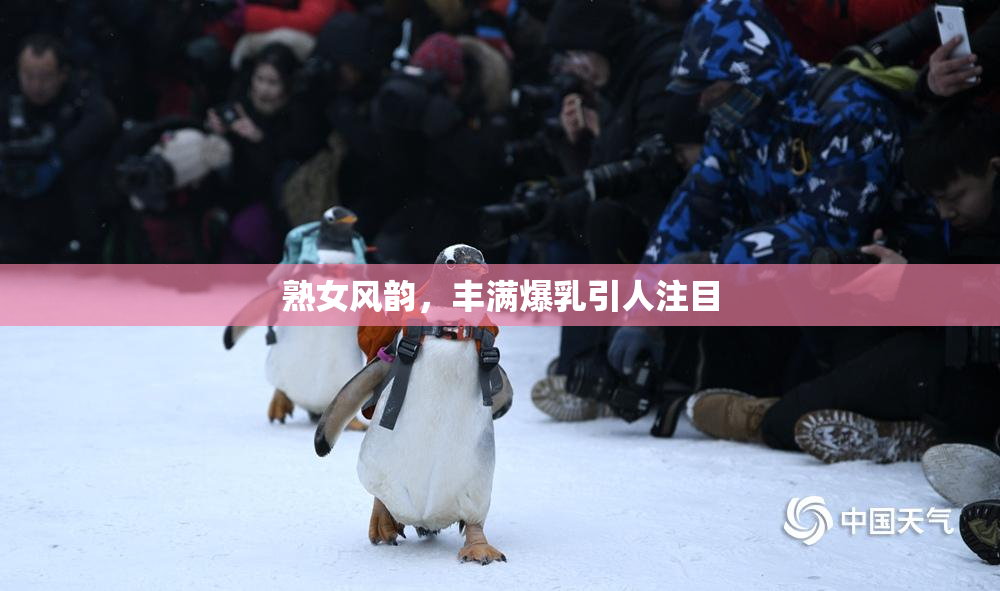 熟女风韵，丰满爆乳引人注目
