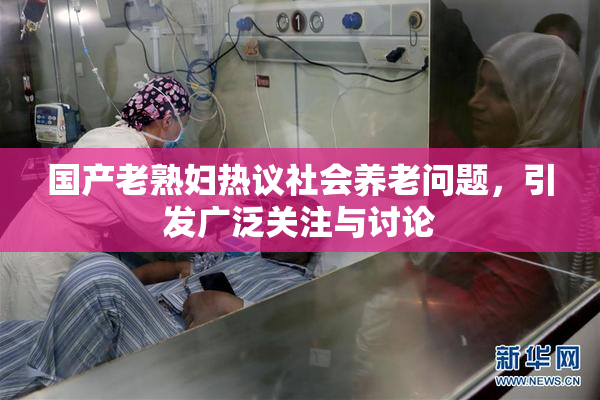 国产老熟妇热议社会养老问题，引发广泛关注与讨论
