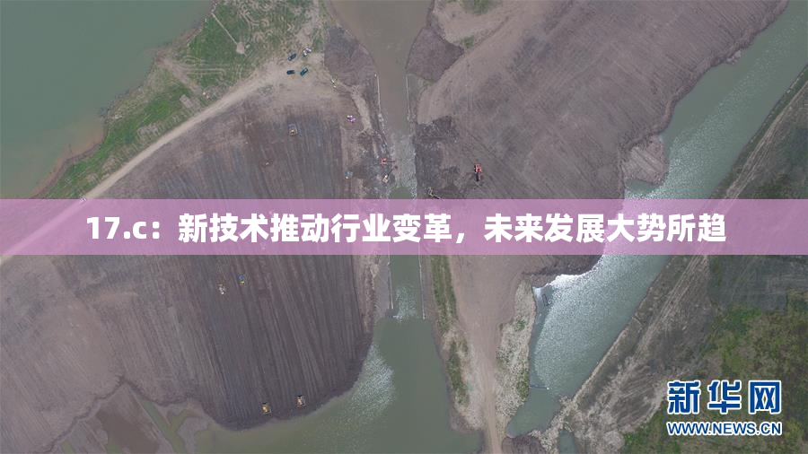 17.c：新技术推动行业变革，未来发展大势所趋