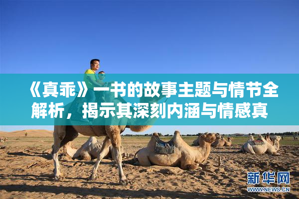 《真乖》一书的故事主题与情节全解析，揭示其深刻内涵与情感真谛。