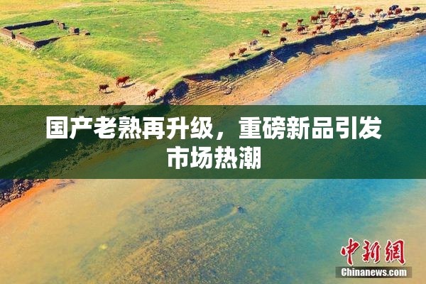 国产老熟再升级，重磅新品引发市场热潮